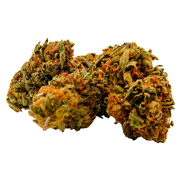 Bud image for Gorilla Zkittlez, cannabis dried flower by Green Mountain