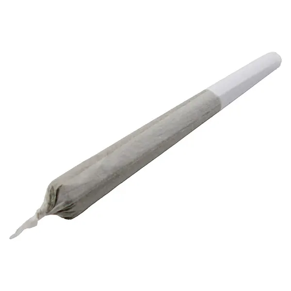 Image for Romulan Grapefruit Pre-Roll, cannabis all products by Green Mountain