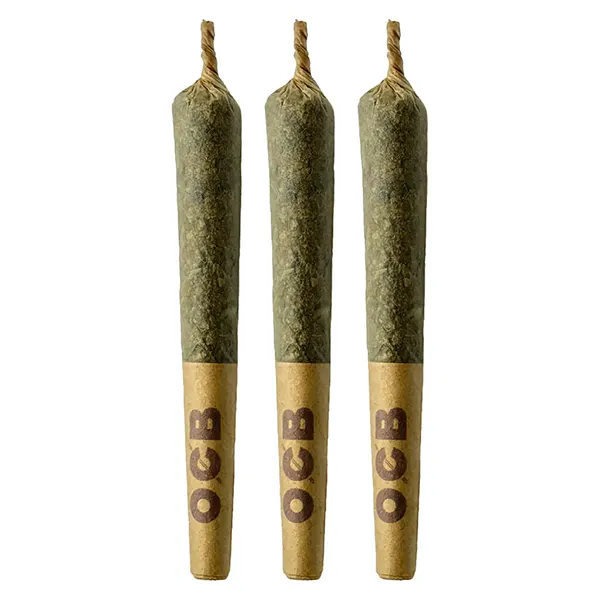 Image for Grape Gotti #12 Pre-Roll, cannabis all products by Coterie