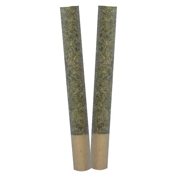 Image for IGNITE Pre-Roll, cannabis pre-rolls by Trygg Collection