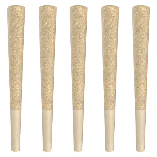 Image for Payday Pre-Roll