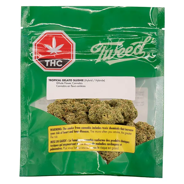 Tropical Gelato Slushie (Dried Flower) by Tweed