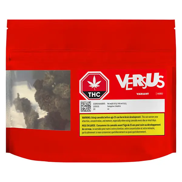 Variant (Dried Flower) by Versus