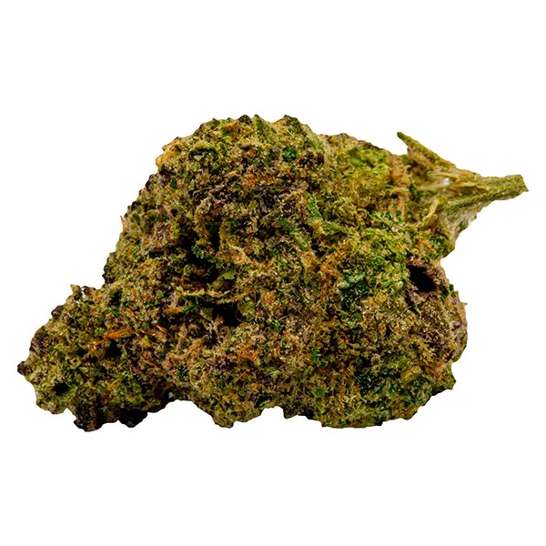 Black Cherry Sod..