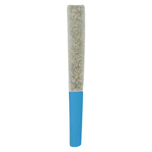 Image for Blueberry Double Infused Pre-Roll, cannabis all products by SlurpZ