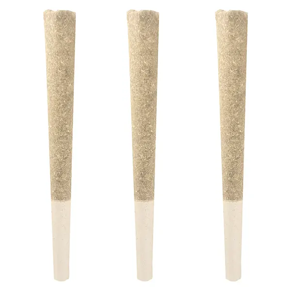 Image for Reptilian Reserve Pre-Roll, cannabis all products by Conspiracy