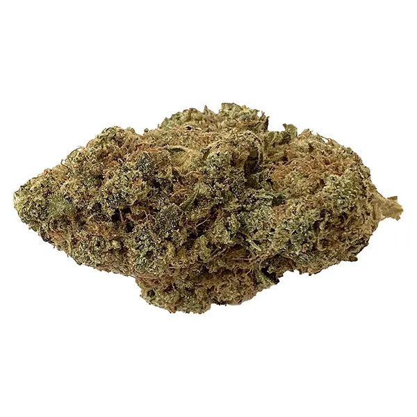 Bud image for Lime Skunk, cannabis all products by Grass Monkeys