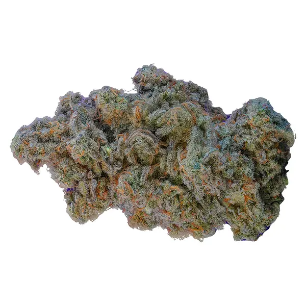 Bud image for OP Reserve Sativa, cannabis all products by Indiva