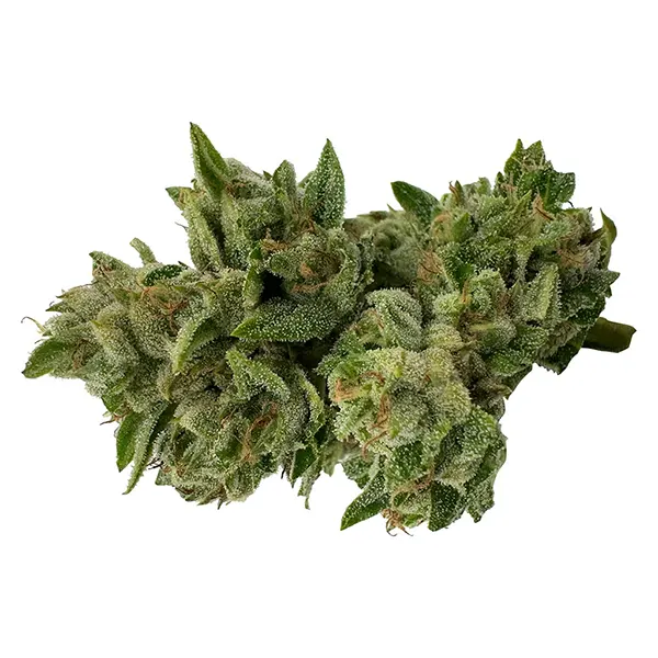 Bud image for Pretty Sweet Sativa, cannabis all products by Deelish