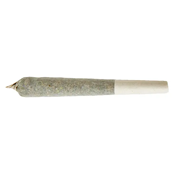Image for Red Hawaiian Distillate Infused Pre-Roll