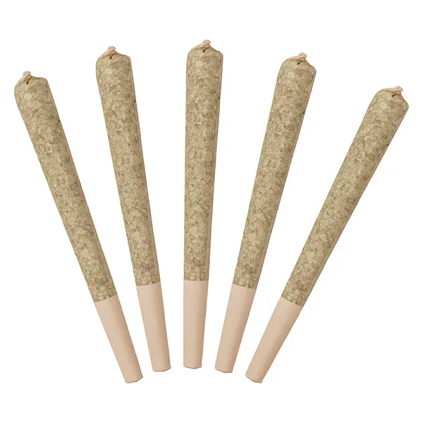 Image for Sour Raspberry Infused Pre-Roll, cannabis all products by Standard Issue