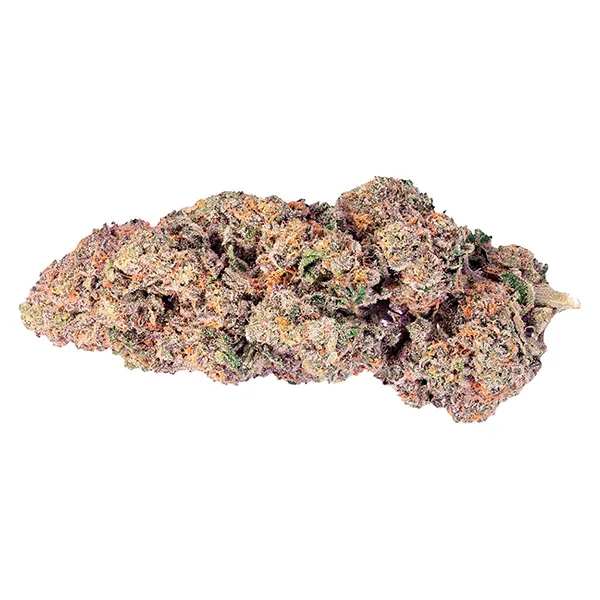 Bud image for Super Boof, cannabis all products by Purplefarm