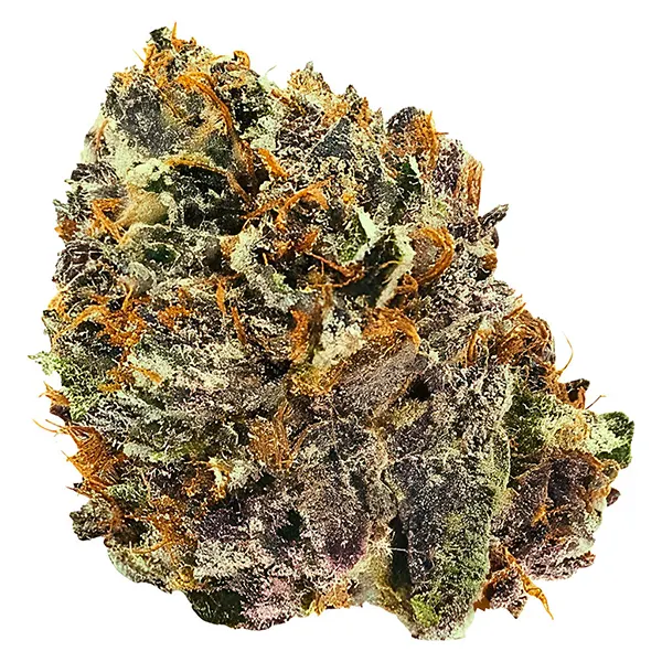 Bud image for TF Pink Kush, cannabis dried flower by Kwall