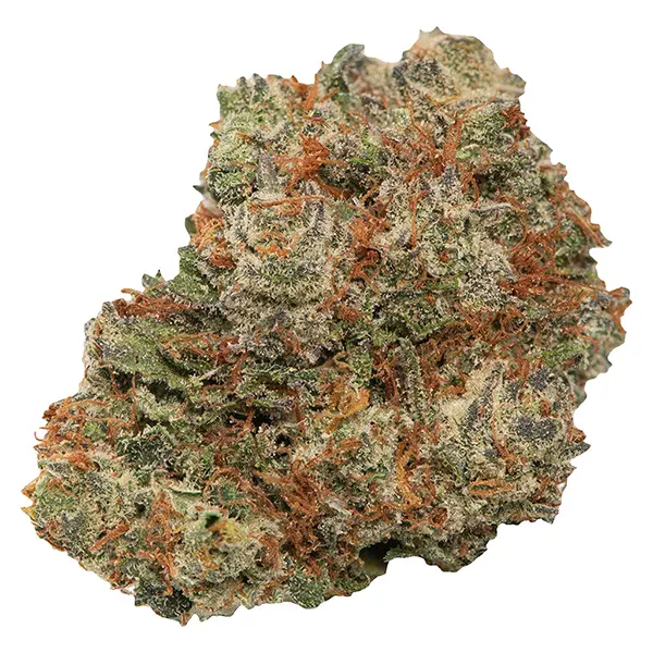 Bud image for Toba's Sativa, cannabis all products by TobaGrown