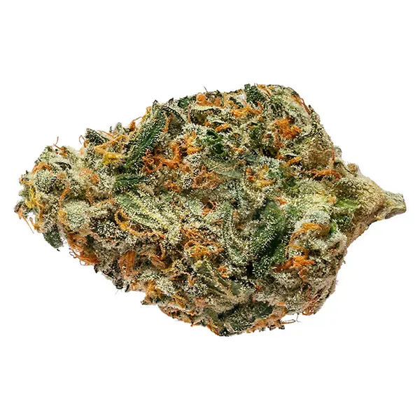 Bud image for BC Bounty, cannabis all products by The Original Fraser Valley Weed Co.