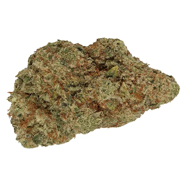 Bud image for Big Apple, cannabis dried flower by Carmel