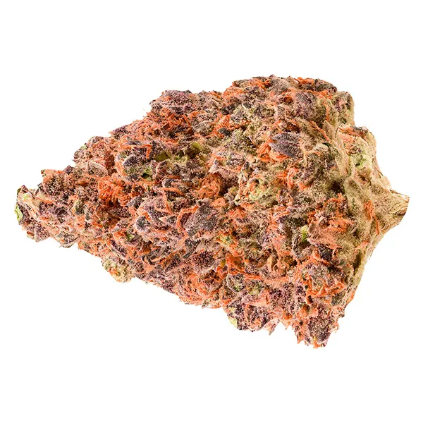 Bud image for Cherry Blast, cannabis dried flower by Cheers Cannabis