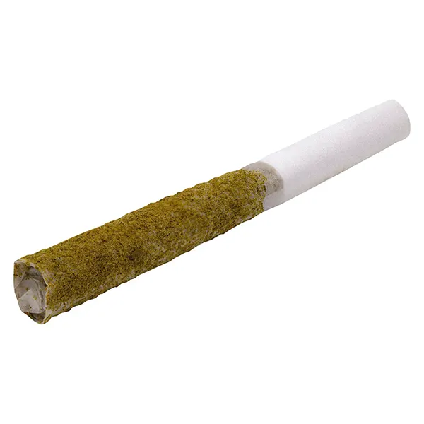 Image for NIGHT KUSH INDICA INFUSED PRE-ROLL, cannabis all products by GAS