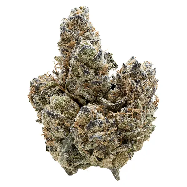 Bud image for Florida Oranges, cannabis all products by Nugz