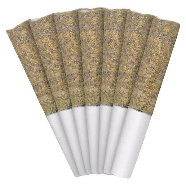 Image for Florida Oranges Pre-Roll, cannabis pre-rolls by Nugz