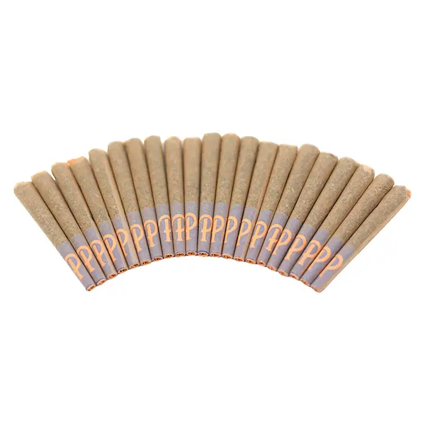 Image for Gelato 41 Pre-Roll, cannabis pre-rolls by Purple Hills
