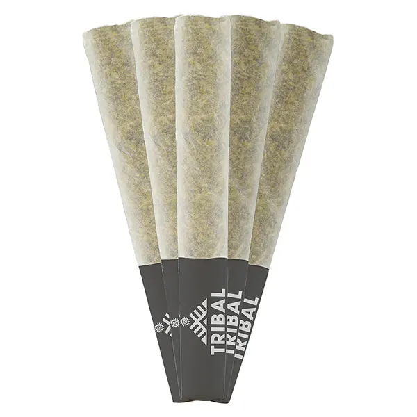 Image for Gran Turismo Pre-Roll, cannabis pre-rolls by Tribal