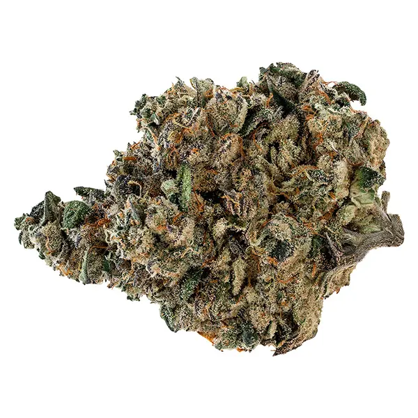 Bud image for Gran Turismo, cannabis all products by Tribal