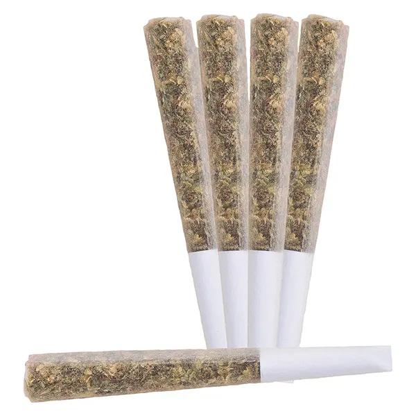 Image for Nova Live Rosin Infused Pre-Roll, cannabis all products by Blast