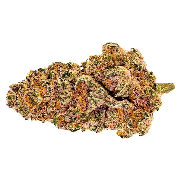 Bud image for Purple Fog, cannabis all products by Pure Sunfarms