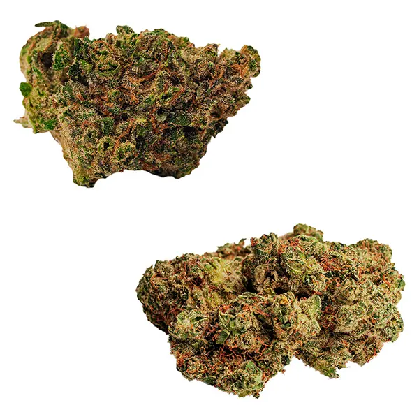 Bud image for Rotating Duo, cannabis all products by BOLD