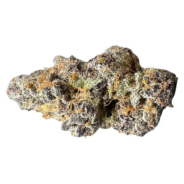 Tropic Fuel