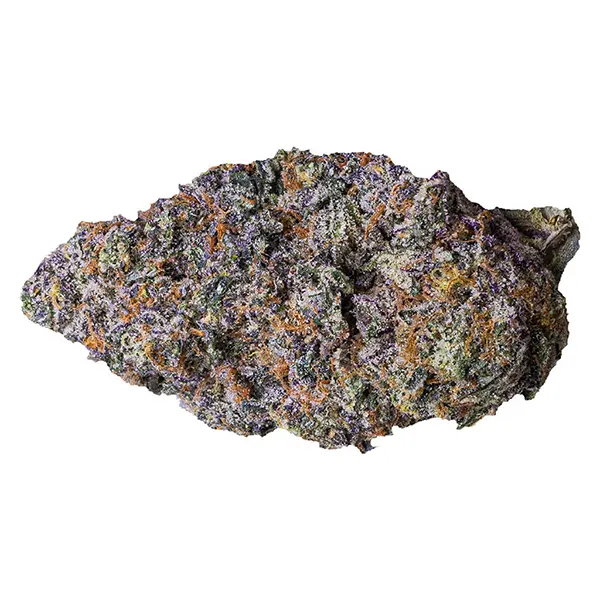 Image for Bisco Banger