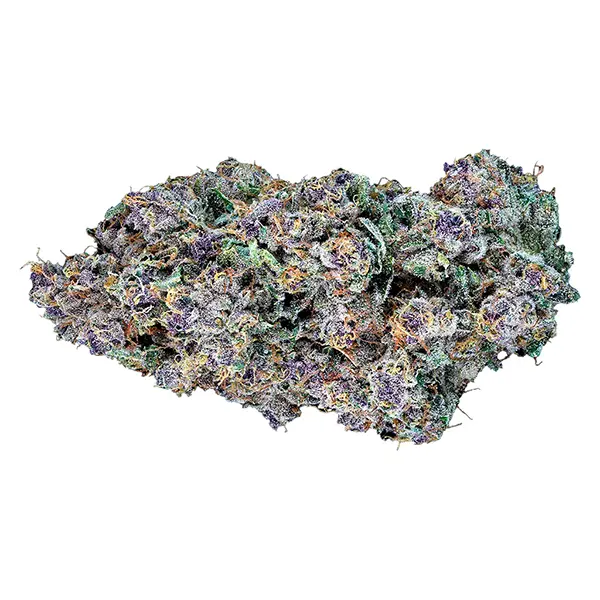 Image for Blue Gumdrops