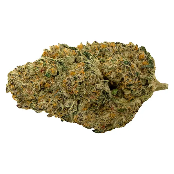 Bud image for Cherry Tang, cannabis dried flower by Pure Sunfarms