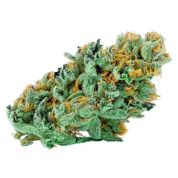 Bud image for Connoisseurs Crop - Rotational Dank Outdoor OZ, cannabis all products by Connoisseur Culture