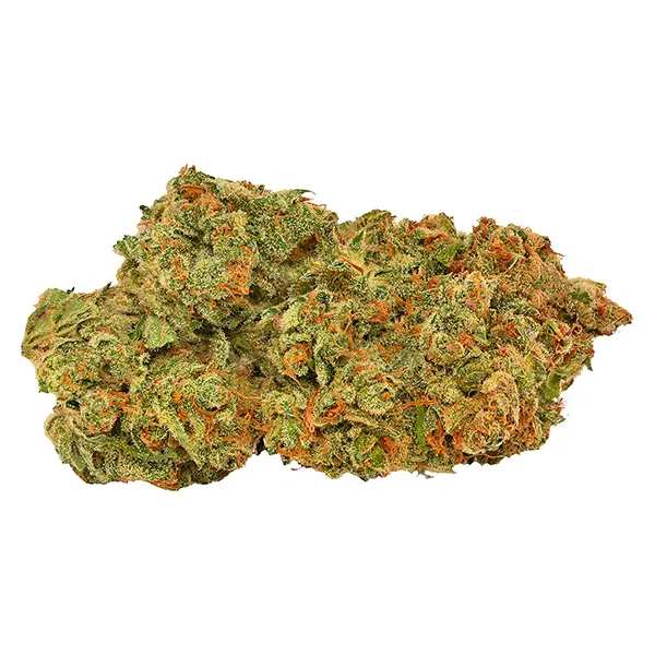 Bud image for Durban Poison, cannabis dried flower by 5 Points Cannabis