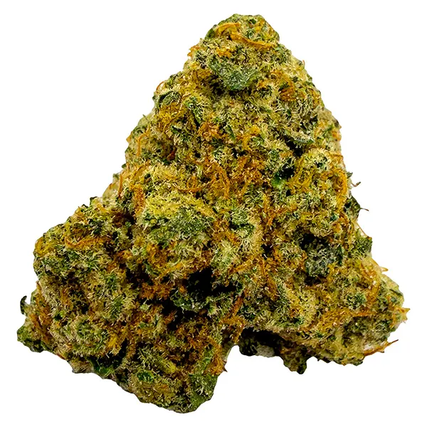 Bud image for Durban Poison, cannabis all products by PEPE