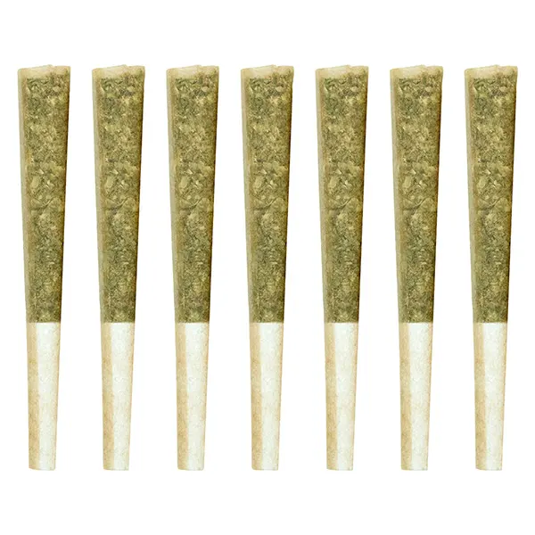 Image for El Jefe Pre-Roll, cannabis all products by LowKey