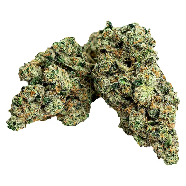 First Class Gas