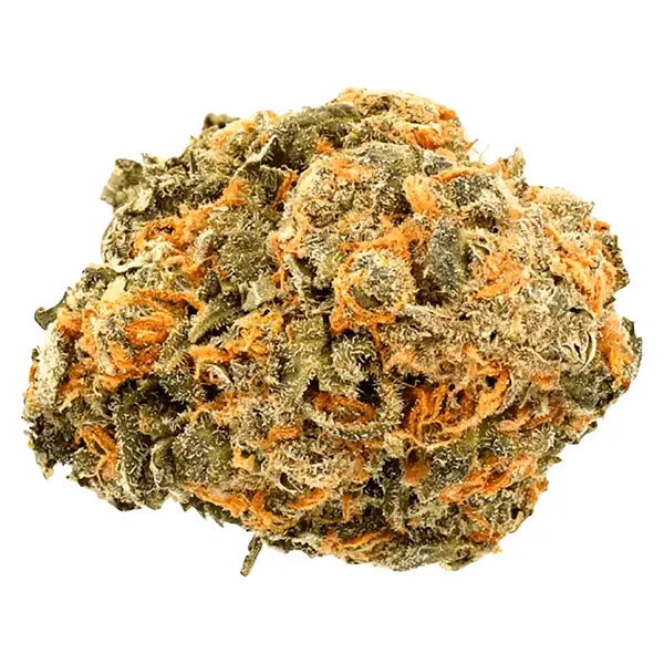 Bud image for Garlic Zkittlez, cannabis dried flower by Thumbs Up
