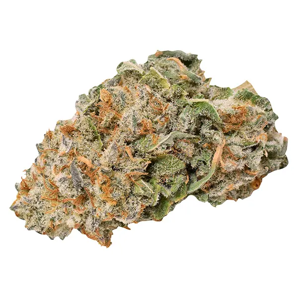 Bud image for Indica, cannabis all products by Ripped
