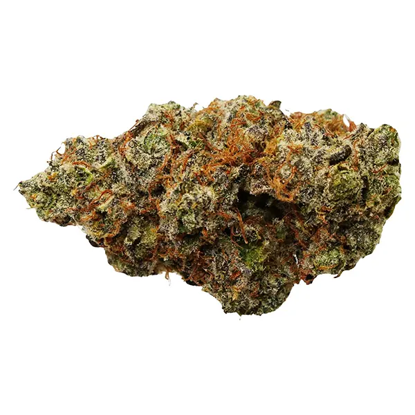 Bud image for Johnny Cage, cannabis dried flower by FLHIGH