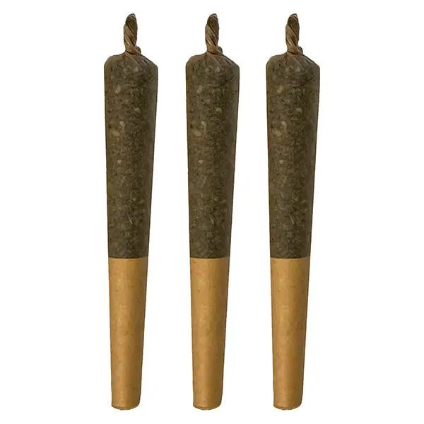 Image for Papa Infused Pre-Roll, cannabis all products by Sheeesh!