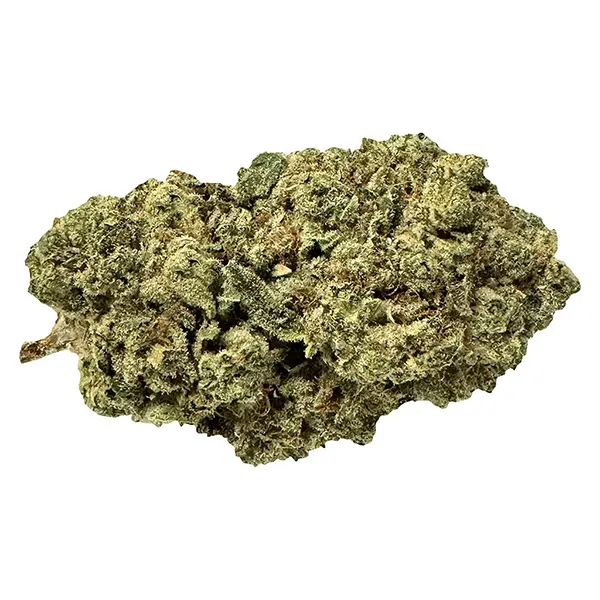 Bud image for Pirate Milk, cannabis all products by Terp Town Collective
