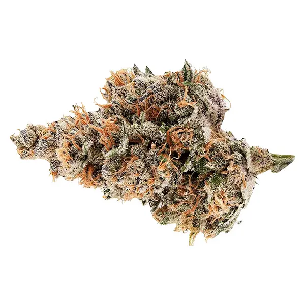 Bud image for Raspberry Runtz, cannabis dried flower by Potluck