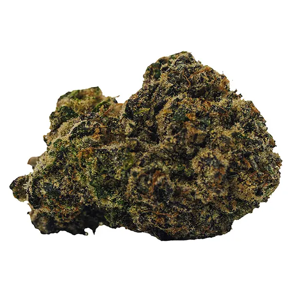 Bud image for Rocket Fuel, cannabis all products by BOLD