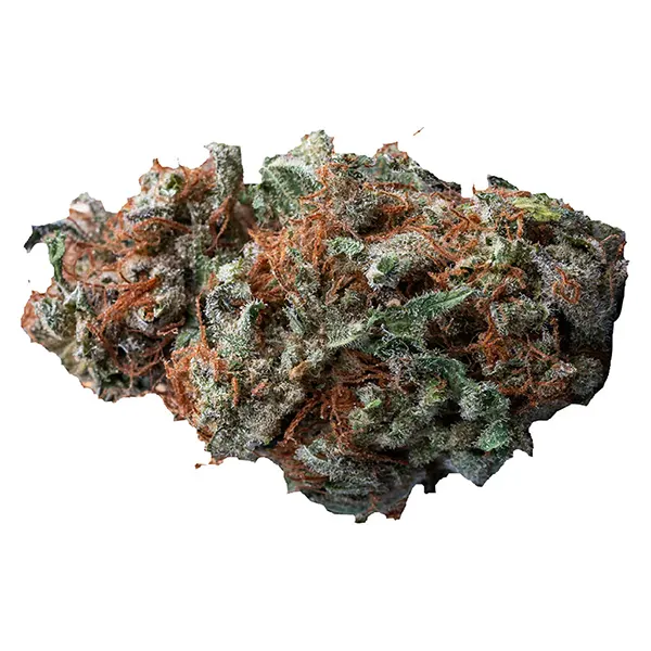 Bud image for Sasquatch Sap, cannabis dried flower by Palmetto