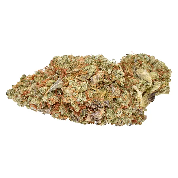 Bud image for Sativa, cannabis all products by Ripped