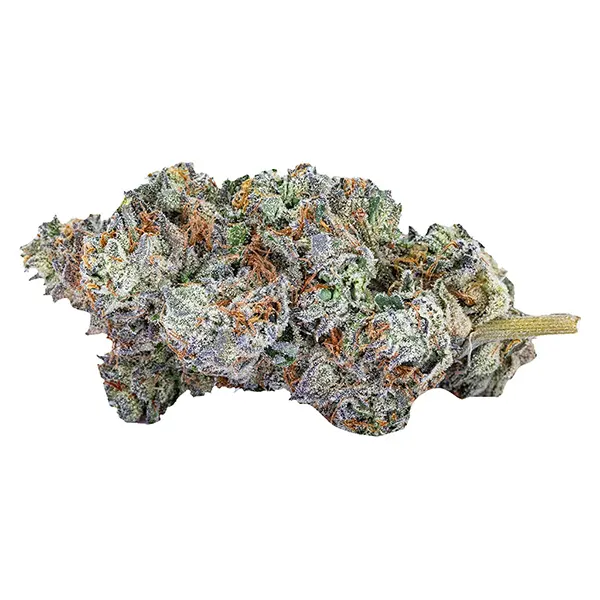 Bud image for Mind Playa, cannabis all products by Sixty Seven Sins