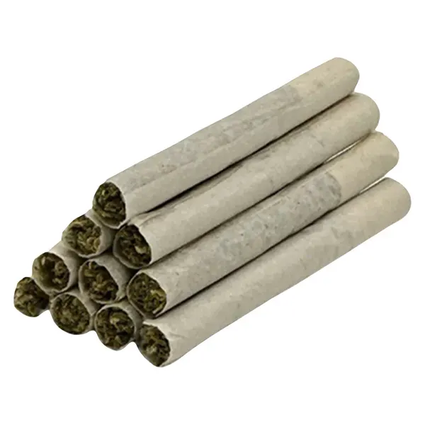 Image for Series X Pre-Roll